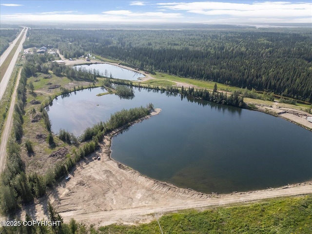 L1425 Richardson Hwy, North Pole, AK 99705 - photo 4