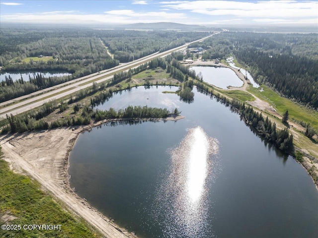 L1425 Richardson Hwy, North Pole, AK 99705 - photo 11