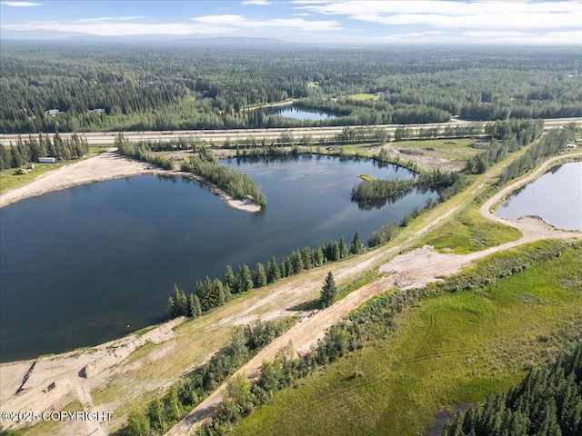 L1425 Richardson Hwy, North Pole, AK 99705 - photo 13