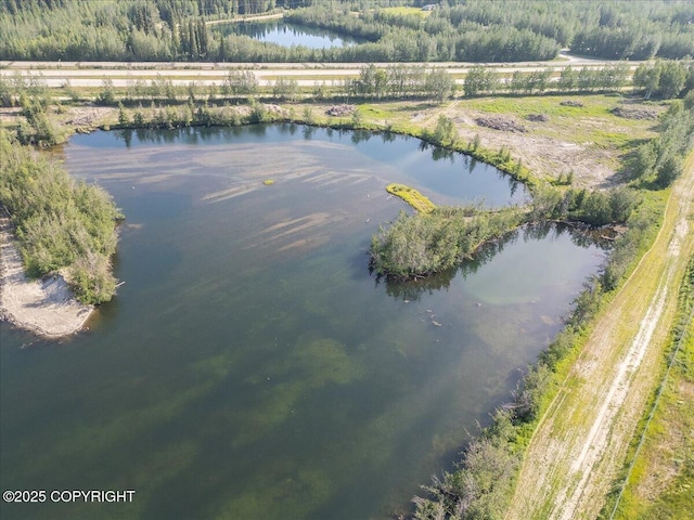 L1425 Richardson Hwy, North Pole, AK 99705 - photo 14
