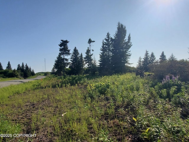 17589 Chefornak St, Ninilchik, AK 99639