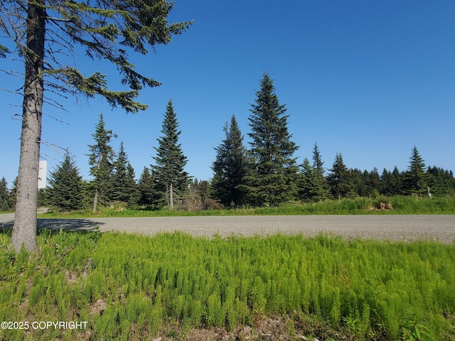 17589 Chefornak St, Ninilchik, AK 99639