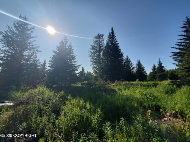 17589 Chefornak St, Ninilchik, AK 99639