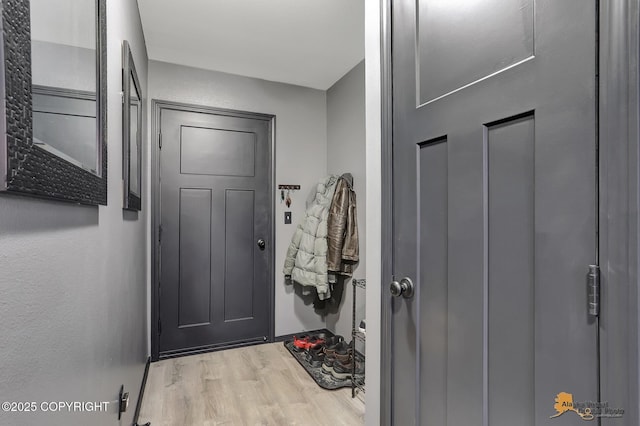 interior space featuring light hardwood / wood-style floors