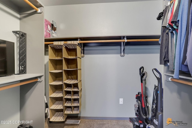 spacious closet featuring carpet