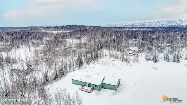 snowy aerial view with a mountain view