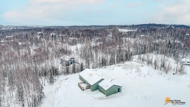 view of snowy aerial view