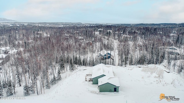 view of snowy aerial view