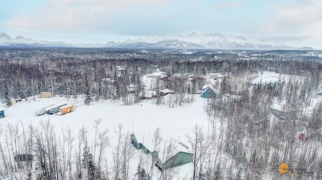 snowy aerial view featuring a mountain view