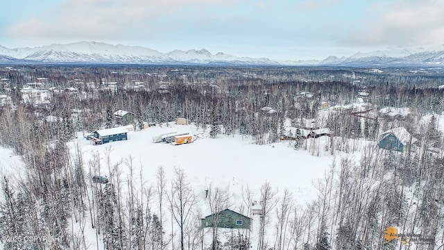 snowy aerial view with a mountain view