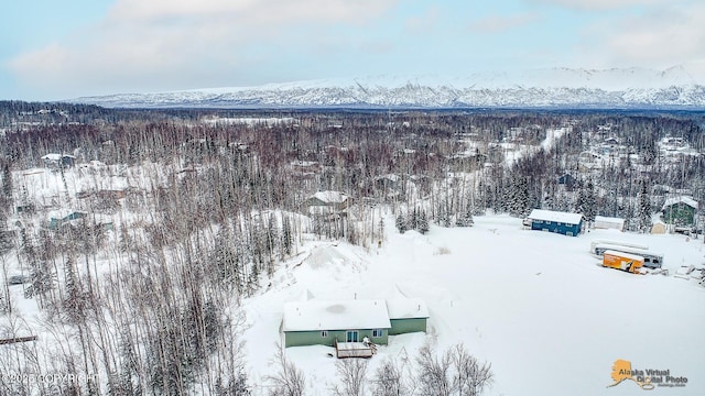 snowy aerial view featuring a mountain view