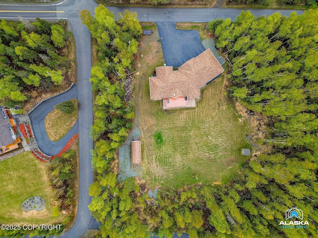 drone / aerial view