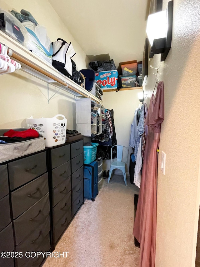 spacious closet featuring light colored carpet