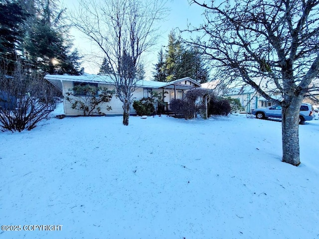 view of snowy yard