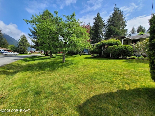 223 Lakeview Dr, Sitka, AK 99835 - view of grassy yard