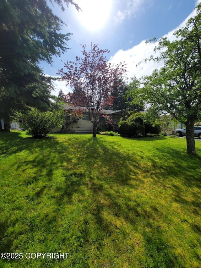 223 Lakeview Dr, Sitka, AK 99835 - view of grassy yard