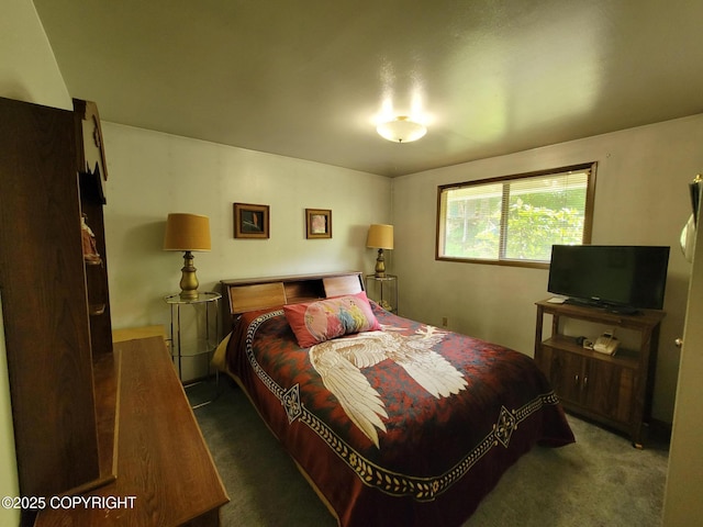 223 Lakeview Dr, Sitka, AK 99835 - view of carpeted bedroom