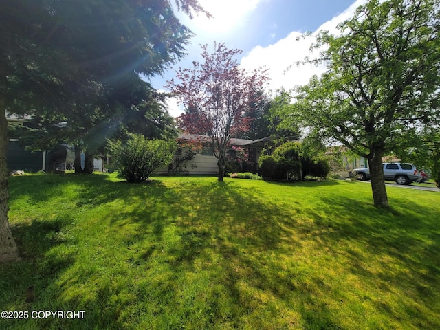223 Lakeview Dr, Sitka, AK 99835 - view of green lawn