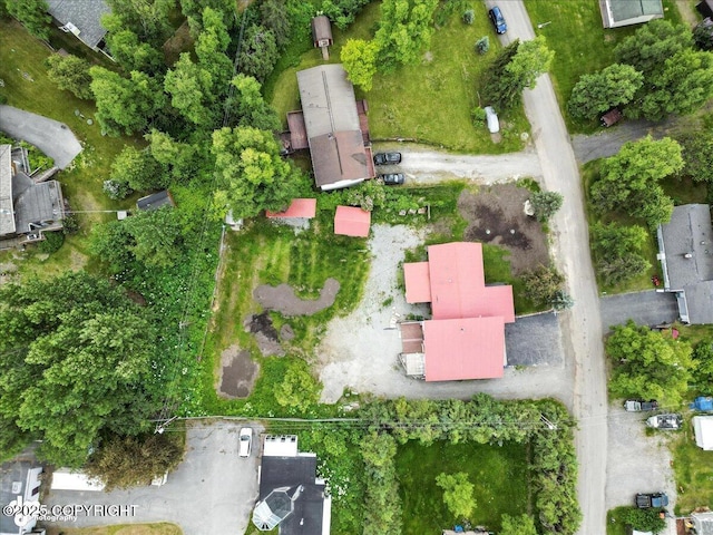 12421 Silver Spruce Dr, Anchorage, AK 99516 - aerial overview of property's location