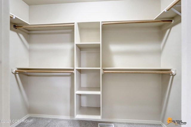 spacious closet featuring carpet floors