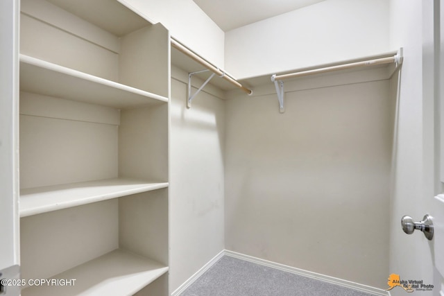 spacious closet with carpet floors