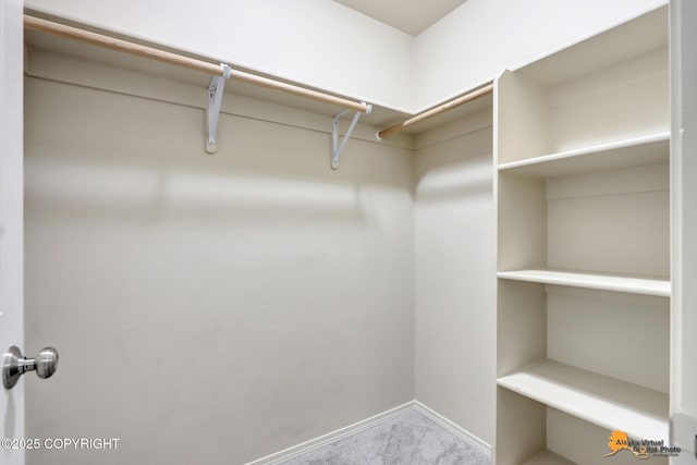 spacious closet with carpet