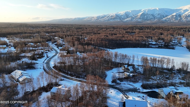 snowy aerial view with a mountain view