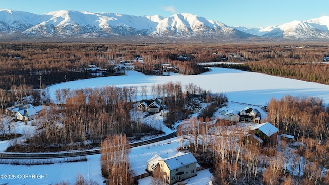 snowy aerial view featuring a mountain view