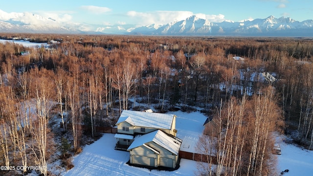 birds eye view of property featuring a mountain view