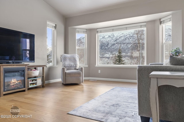 living area with light hardwood / wood-style flooring