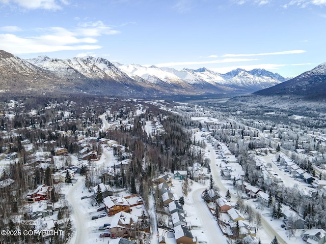 view of mountain feature