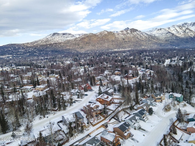 snowy aerial view featuring a mountain view