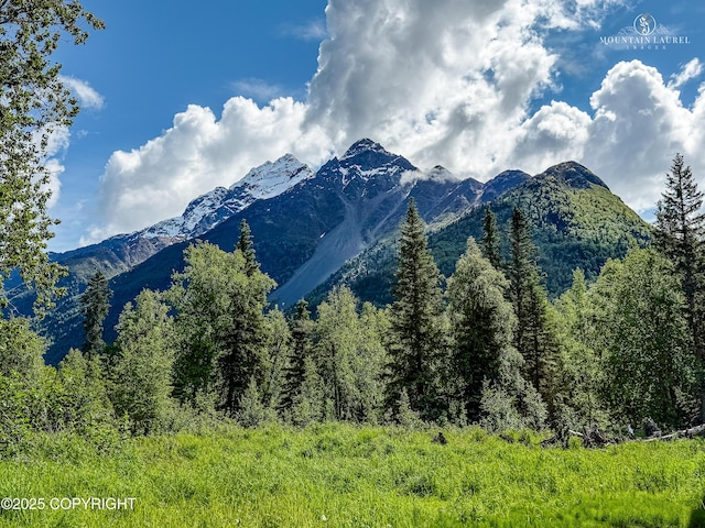 8630 S River Dr, Palmer, AK 99645 - photo 5