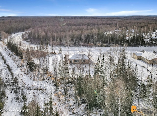 view of snowy aerial view