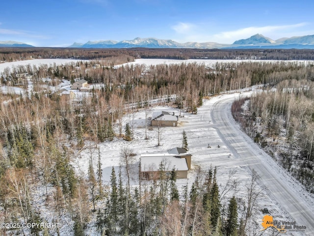 snowy aerial view featuring a mountain view