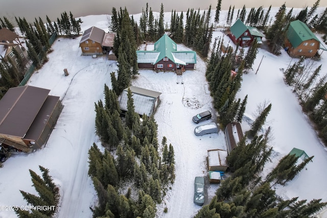 view of snowy aerial view