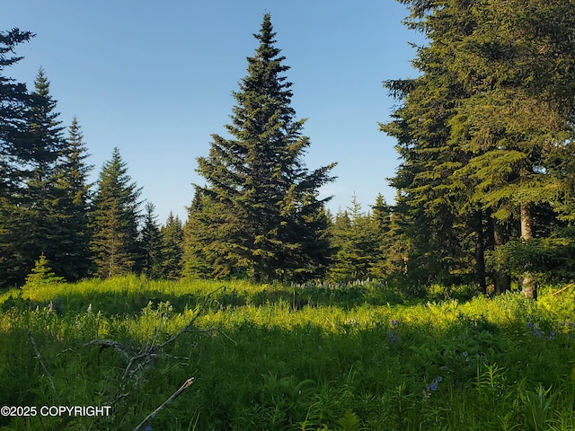 17435 Chefornak St, Ninilchik, AK 99639 - photo 3