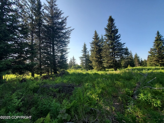 17435 Chefornak St, Ninilchik, AK 99639 - photo 1
