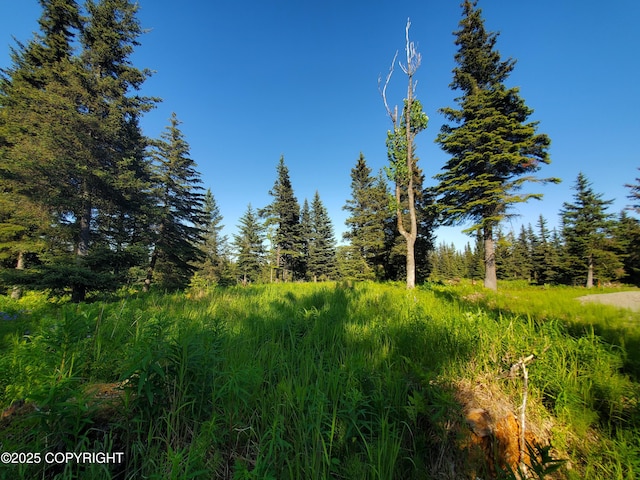 17435 Chefornak St, Ninilchik, AK 99639 - photo 4
