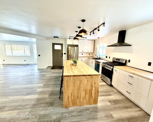 kitchen with range hood, stainless steel appliances, a sink, wood counters, and light wood-type flooring