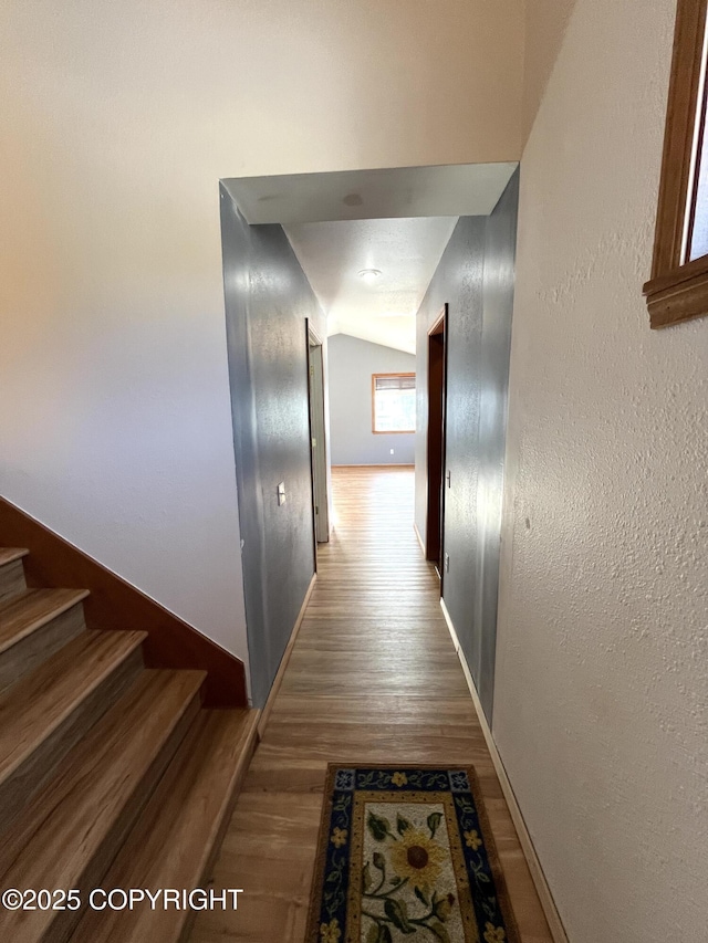 hallway featuring wood-type flooring and vaulted ceiling