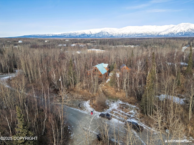 bird's eye view with a mountain view