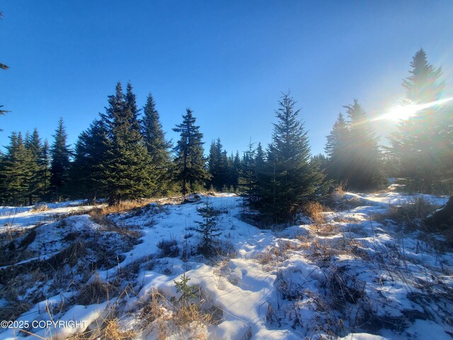 17436 Chefornak St, Ninilchik, AK 99639