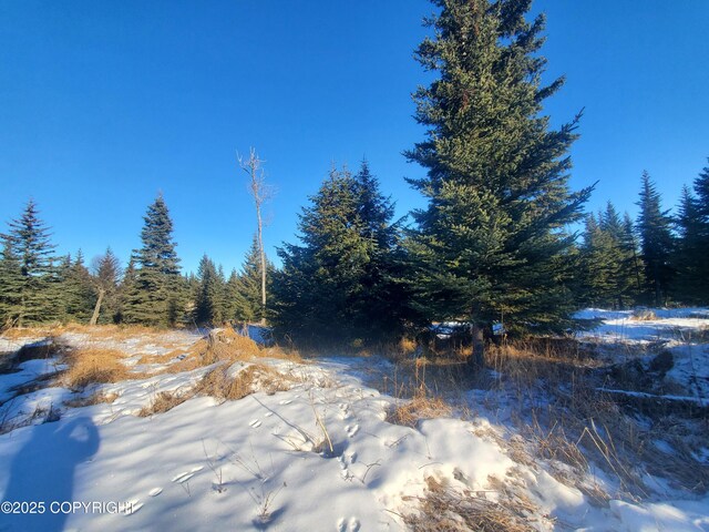 17436 Chefornak St, Ninilchik, AK 99639