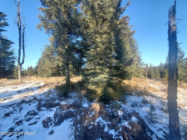 17436 Chefornak St, Ninilchik, AK 99639