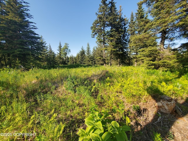 17436 Chefornak St, Ninilchik, AK 99639