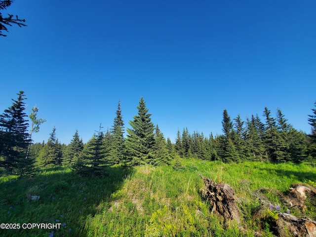 17436 Chefornak St, Ninilchik, AK 99639