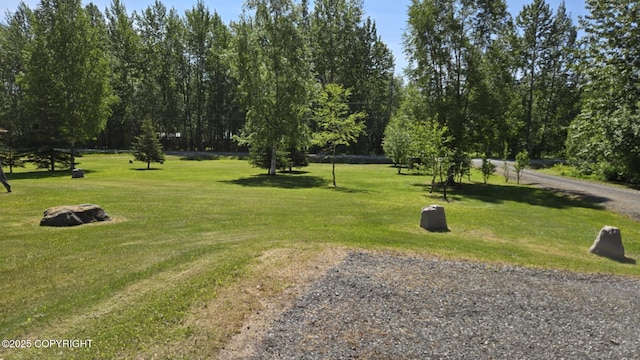 5853 E Edgerton Parks Rd, Palmer, AK 99645 - view of home's community featuring a yard