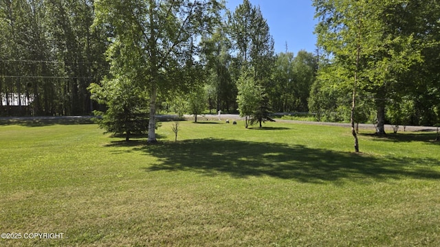 5853 E Edgerton Parks Rd, Palmer, AK 99645 - view of green lawn