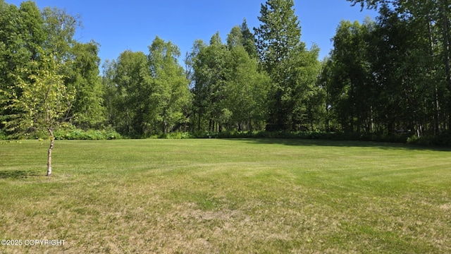 5853 E Edgerton Parks Rd, Palmer, AK 99645 - view of grassy yard